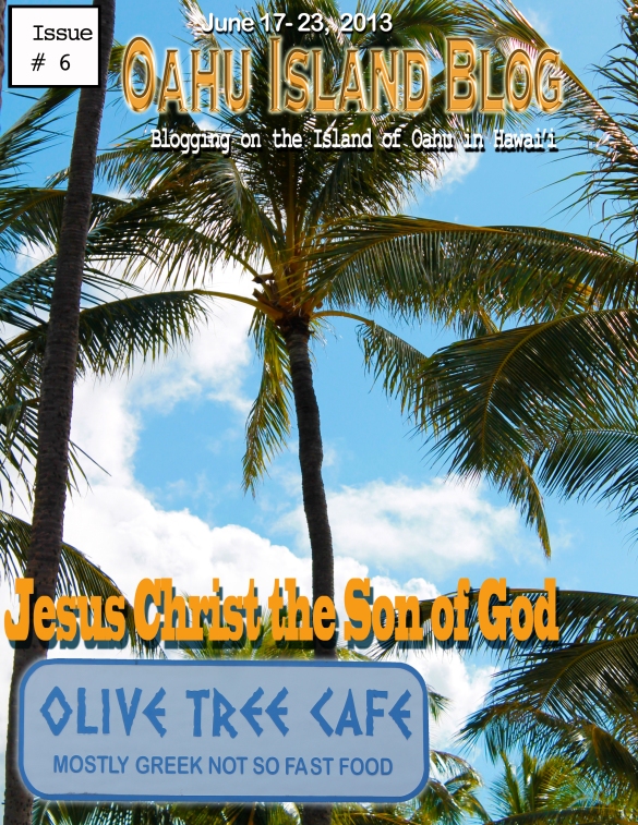 Cover of the Oahu Island Blog